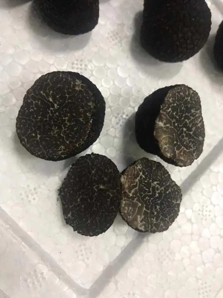 
Detan Fresh Black Truffle Mushroom Price 