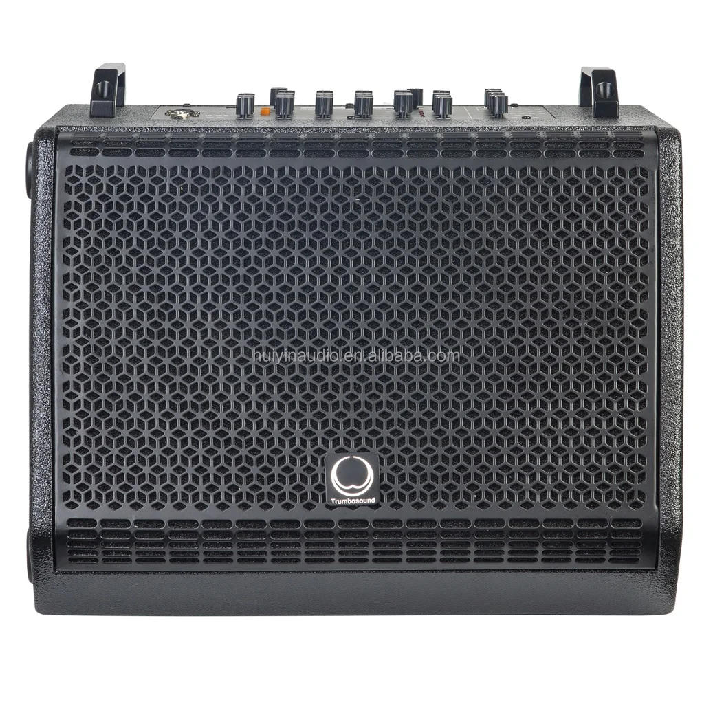 12-Inch 400W RMS Street Performance Two-Way Guitar Speaker TC12 for Singing Music Play Road Shows with Amplifier