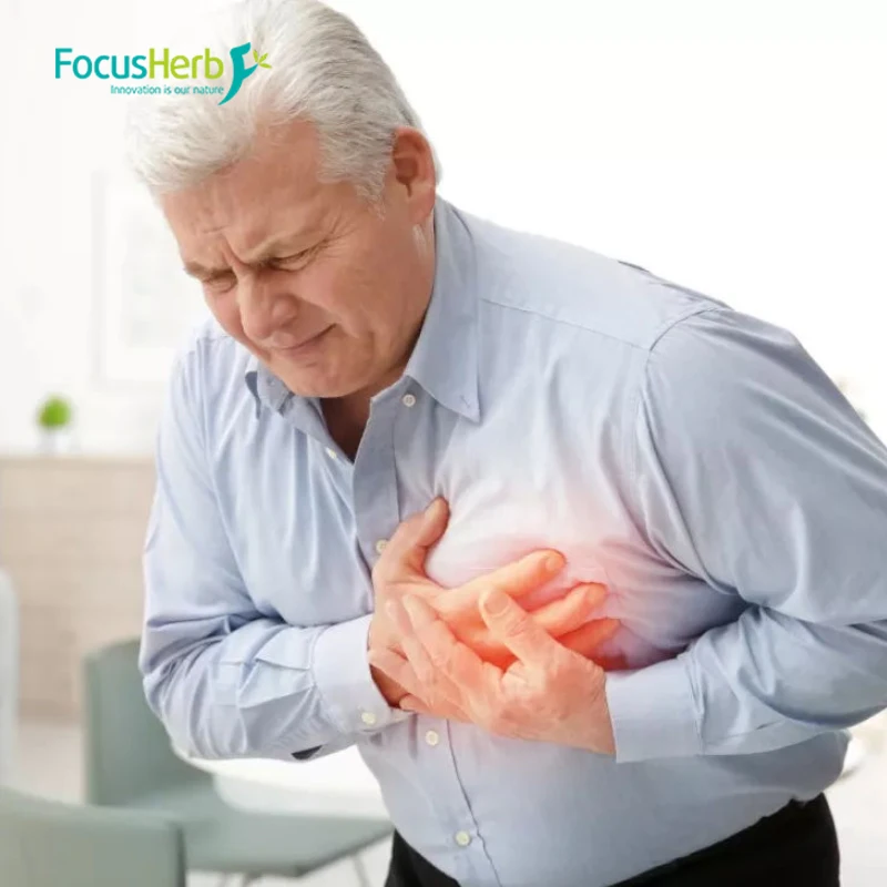 
FocusHerb Hibiscus Sabdariffa Juice Powder Hibiscus Powder 