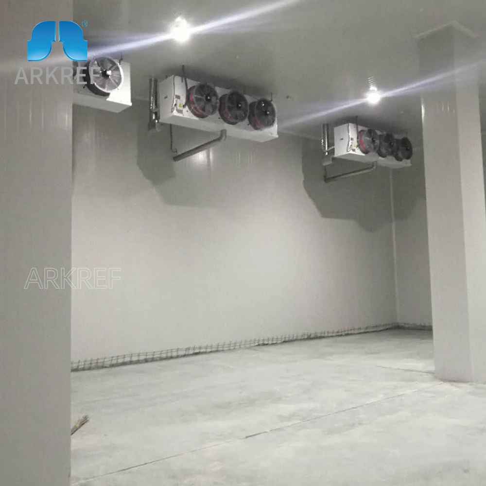Customized Cold Storage Room For Fruits And Vegetables Onion Potato Prefabricated Chiller Cold Room