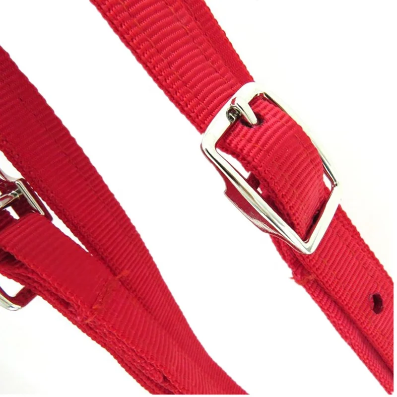 Thicken Equestrian Accessories Cheval Bridle Cavalo Halter Horse Riding Competitions Game Western Horses Racing Equipment