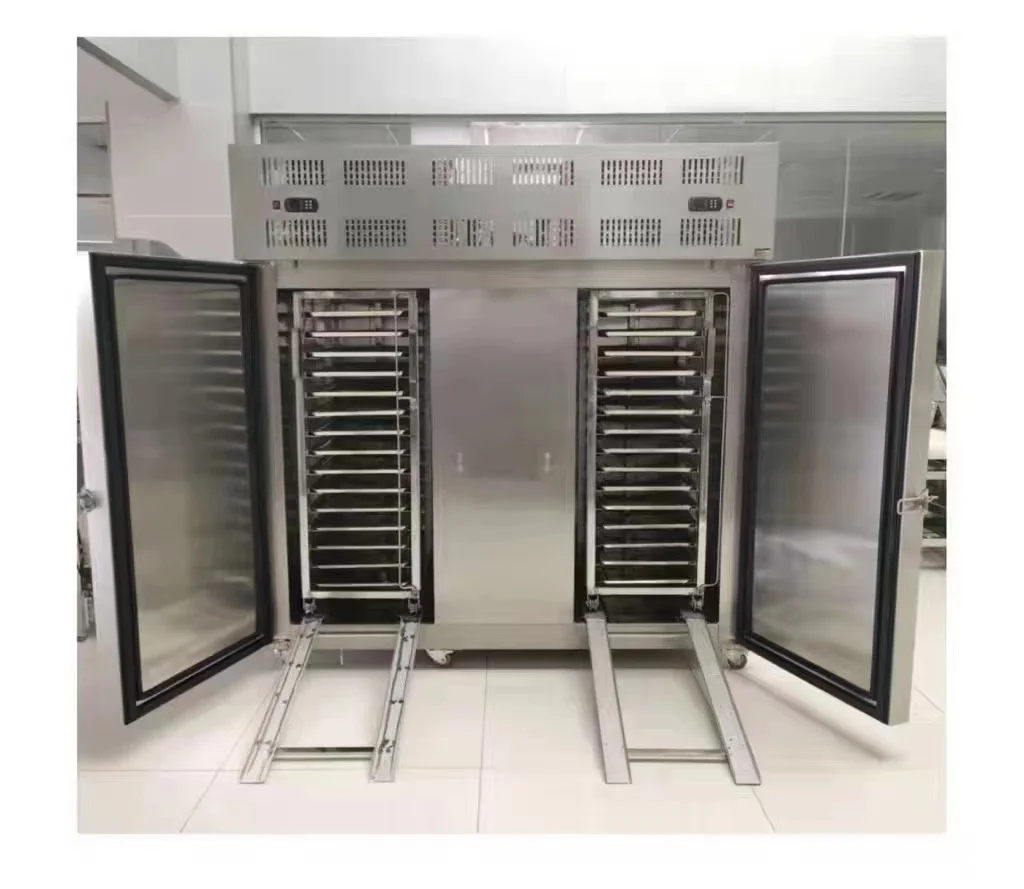15 Plates Cold Storage Blast Freezer Instant Freeze Cabinet with 300 L Volume Deep Freezer