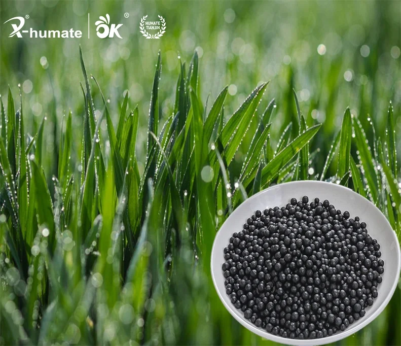 X humate Leonardite Soil Conditioner Amino & Humic Acid Compound Fertilizer Granulator