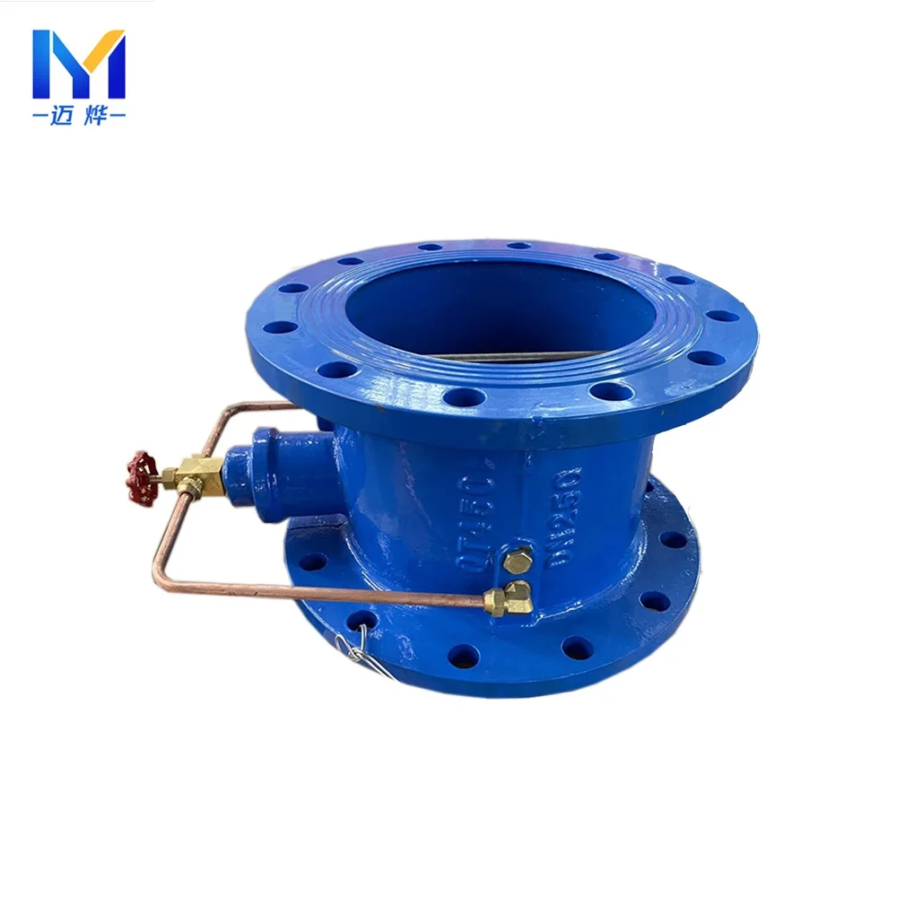 Hh49x Dn50-dn400 Provide Nice Check Valve Flush Float Water Valve Micro-resistance Slow-closing Butterfly 1 Piece Hydraulic