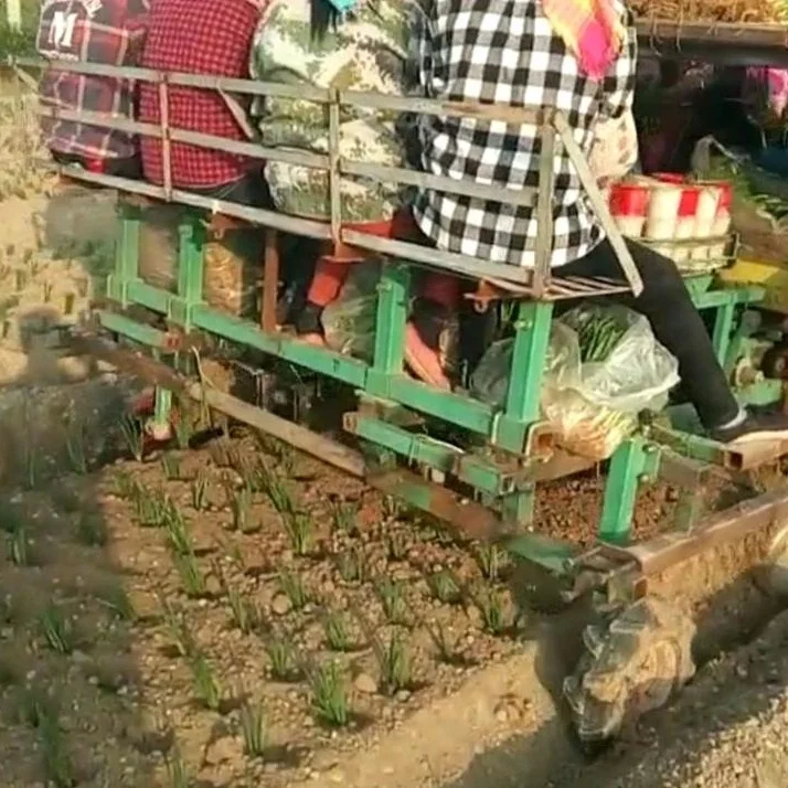 multifunctional green onion seedlings transplanting machine vegetable seed planter function optional good quality and price