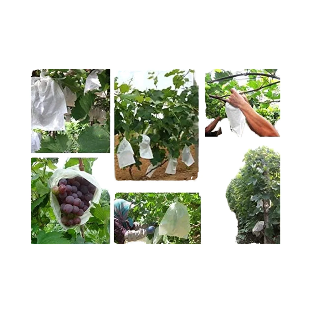 Eco-Friendly Custom White Non-Woven Fruit Cover Protection Bag UV Treated Biodegradable Plain Style for Grape Banana Mango Fruit