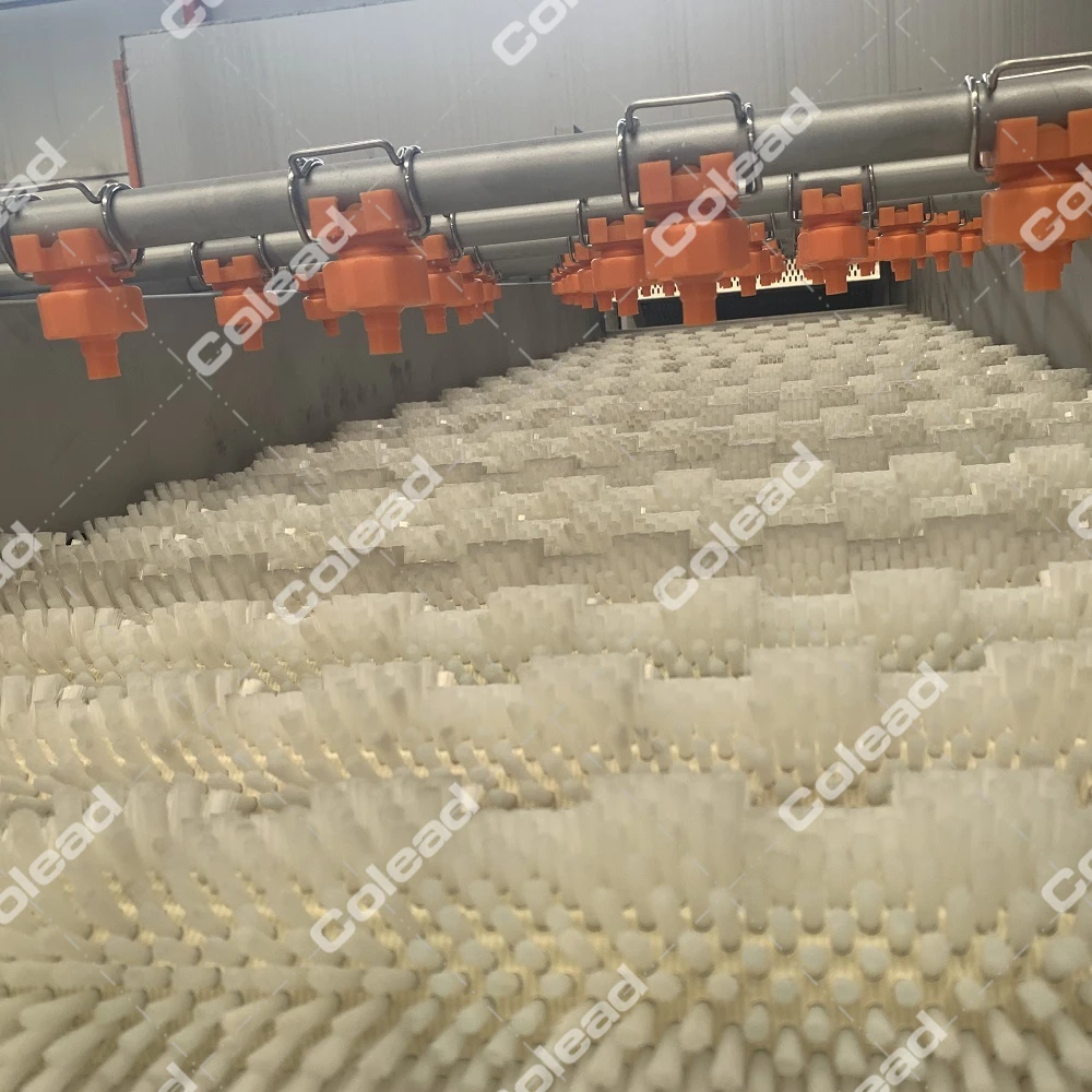 Date palm washing machine and cherry tomato washing machine from Colead