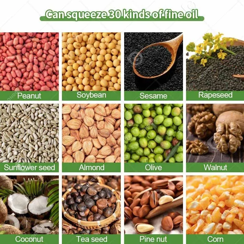 Palm Nut Virgin Coconut Argan 95 Big Spiral Oil Cold Press Extractor Extraction Machine