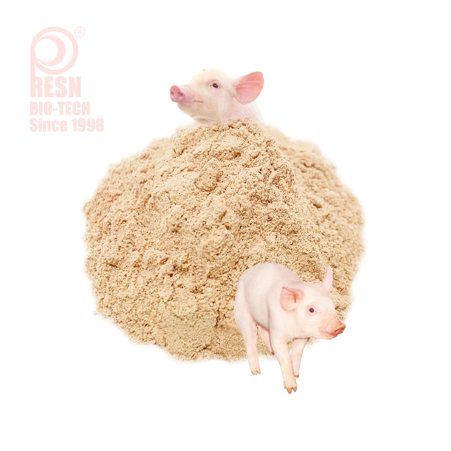 
Bacillus Subtilis Feed Additives Treat Intestinal Tract Disease for Livestock Cattle Pig Fish Poultry 