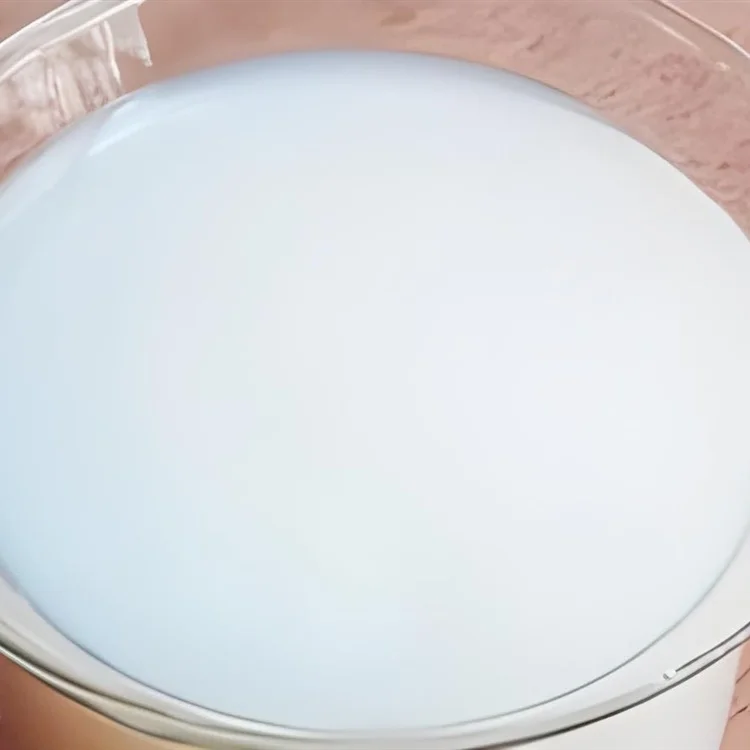 acrylic elastic silicone polymer emulsion paint
