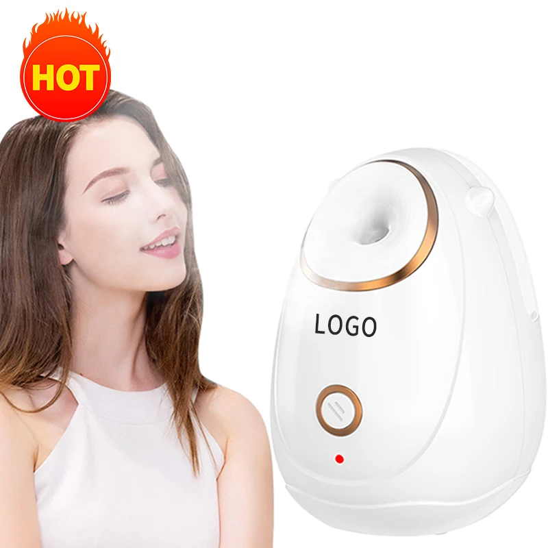 2022 New Arrivals portable facial steamer sprayer Mini 180Ml Hot Spray facial steamer face