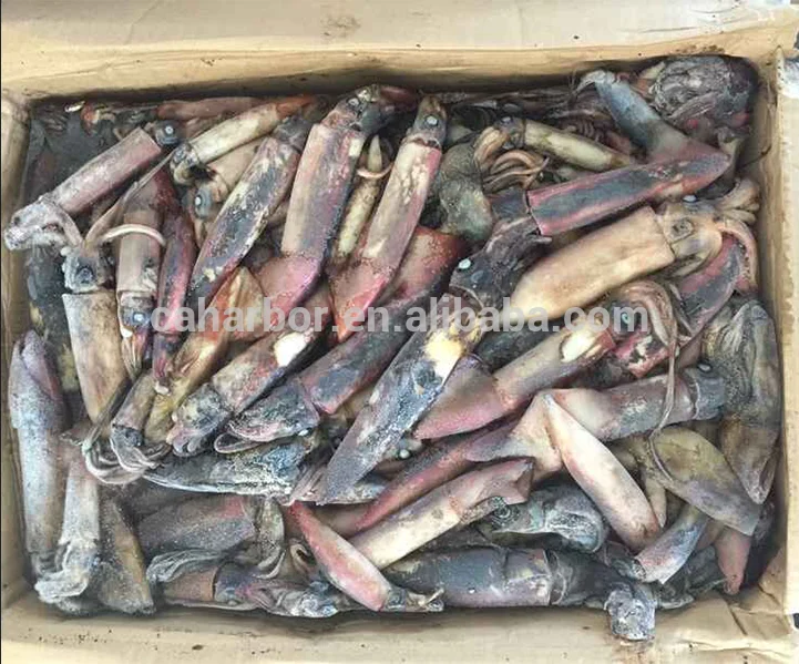 Good taste squid frozen giant squid black squid