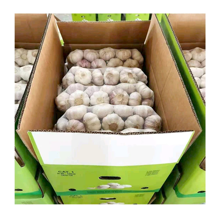 hot sale 5.5cm cheap price purple / red garlic in 20kg mesh bag 2024 newest crop wholesale with Global Gap&Haccp&ISO9001