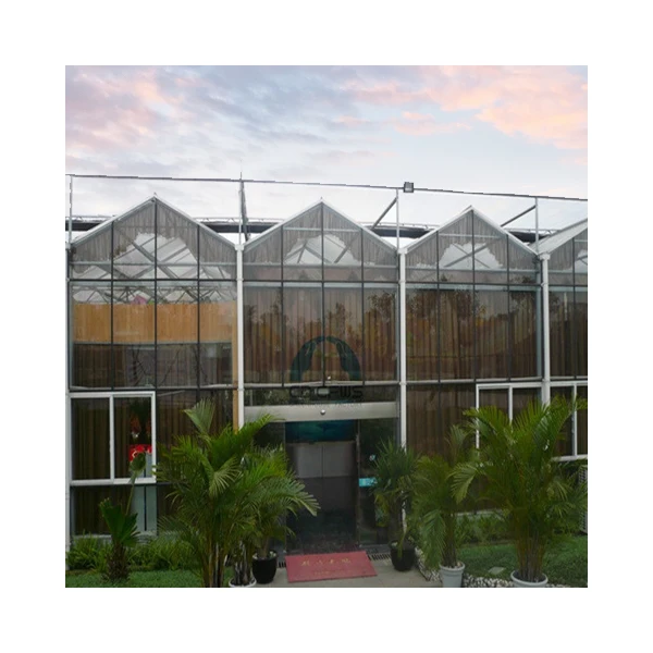 Glass Greenhouse with Hydroponic Growing System Large Water Cultivation Containers Green houses China Large Solar Panel JM
