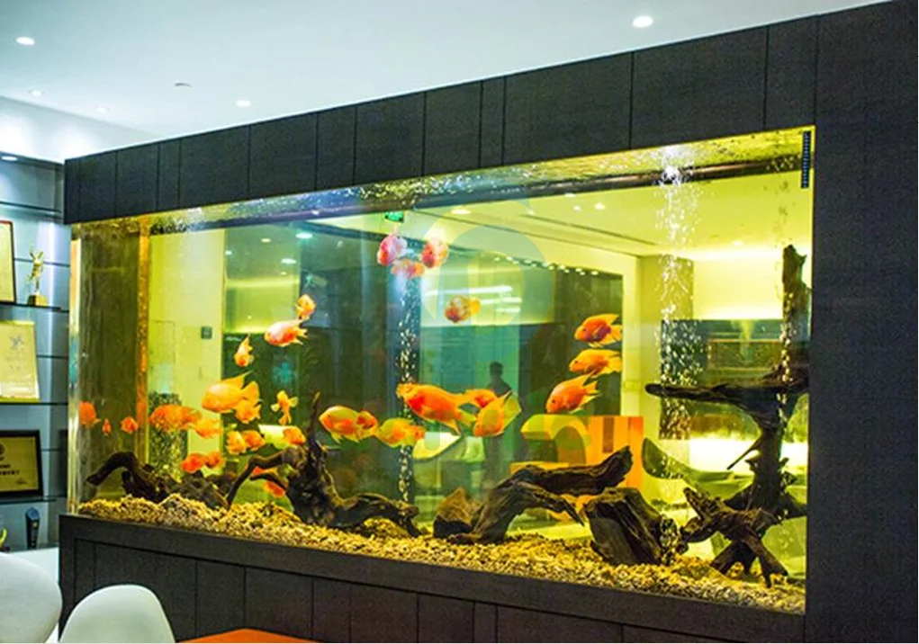 PG Home Made Red Sea Farming Aquarium Big Acrylic Fish Tank