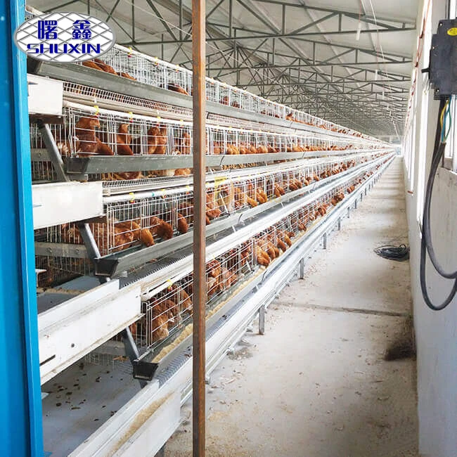 Hot sale Galvanized Poultry Farming Raising Hens Battery Egg layer chicken cage