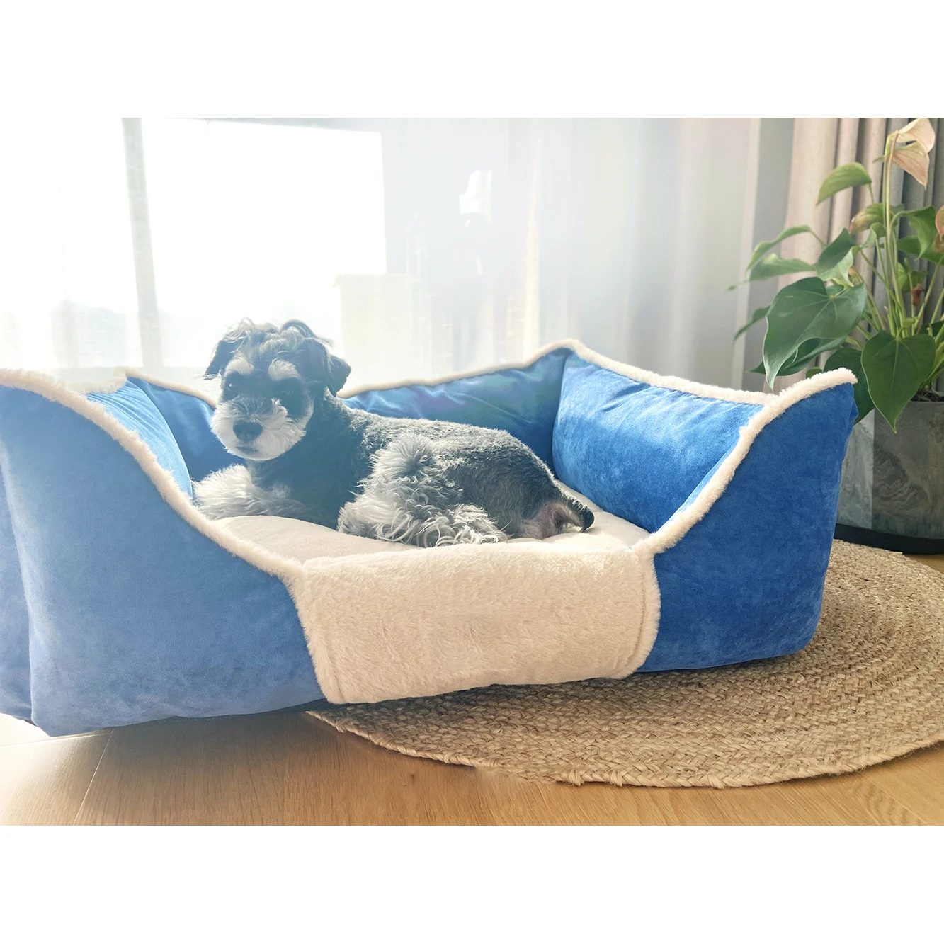Plush Square dog bed teal factory Wholesale High Quality plush pet Bed Sofa soft Pet Bed Product
