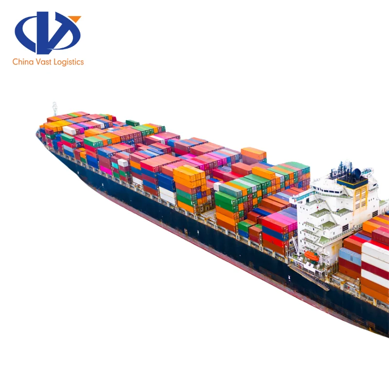 Xiamen China International Freight Forwarder to Montreal Canada Ocean Container Service FCL Shipping Agent