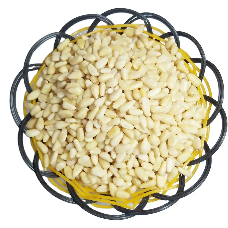 Best Chinese Nuts kernel  Pine Nuts  Kernels Cedar Pine nuts