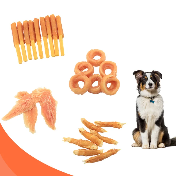 Best selling quality chicken/duck/beef/fish ham sausage pet food training treat dog snack