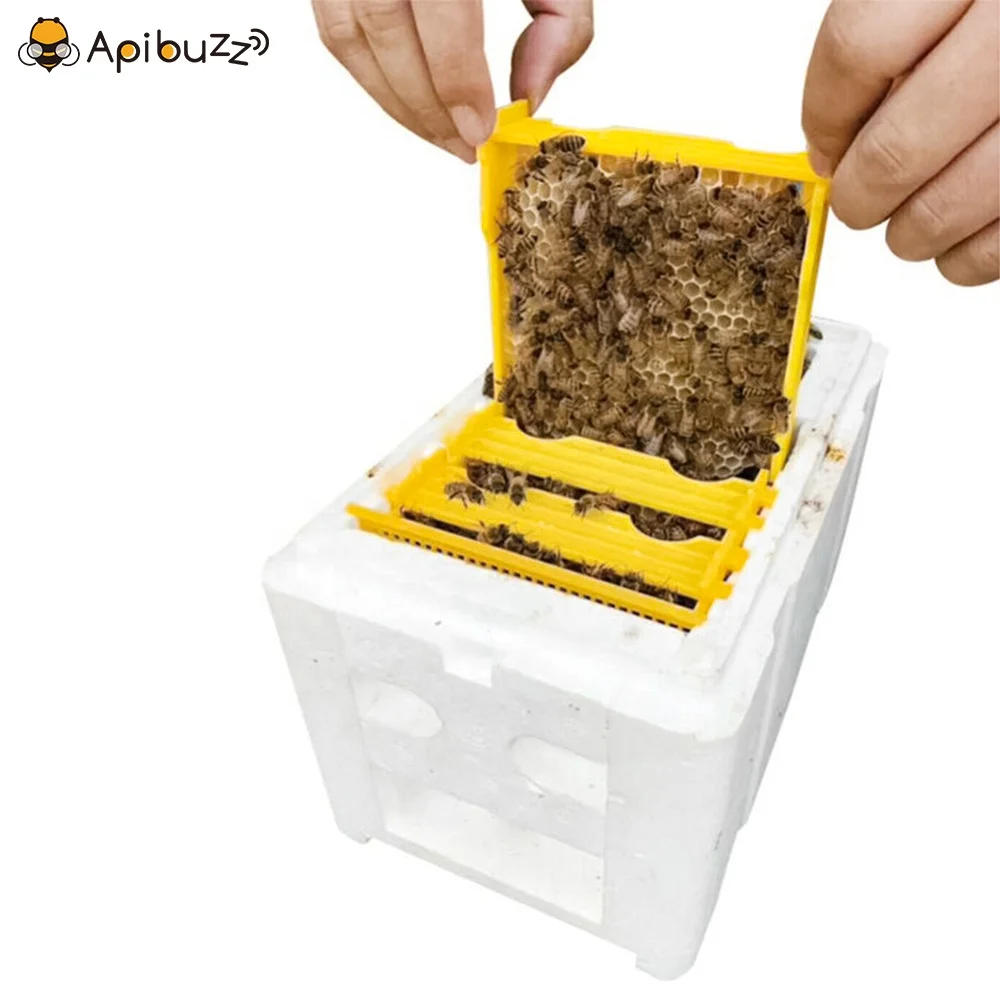 Прямая поставка оптовая продажа миниатюрная коробка для пайки пчелиной сыпи из полистирола ядра пчелиная сыпь апикуляция пчеловодство оборудование пчеловодства
