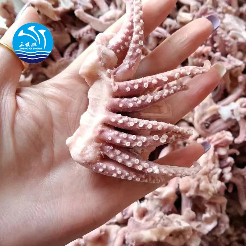 frozen fresh squid high quality frozen squid tentacles