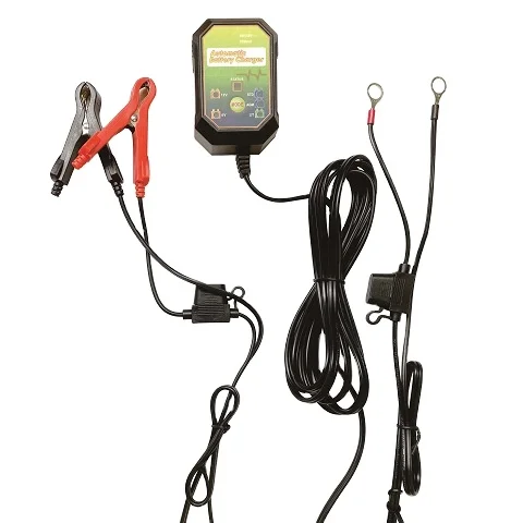 Small Size 6V 12V Lithium Ion and Lead-Acid Battery Charger with Cigarette Lighter Connection 1 Year Warranty