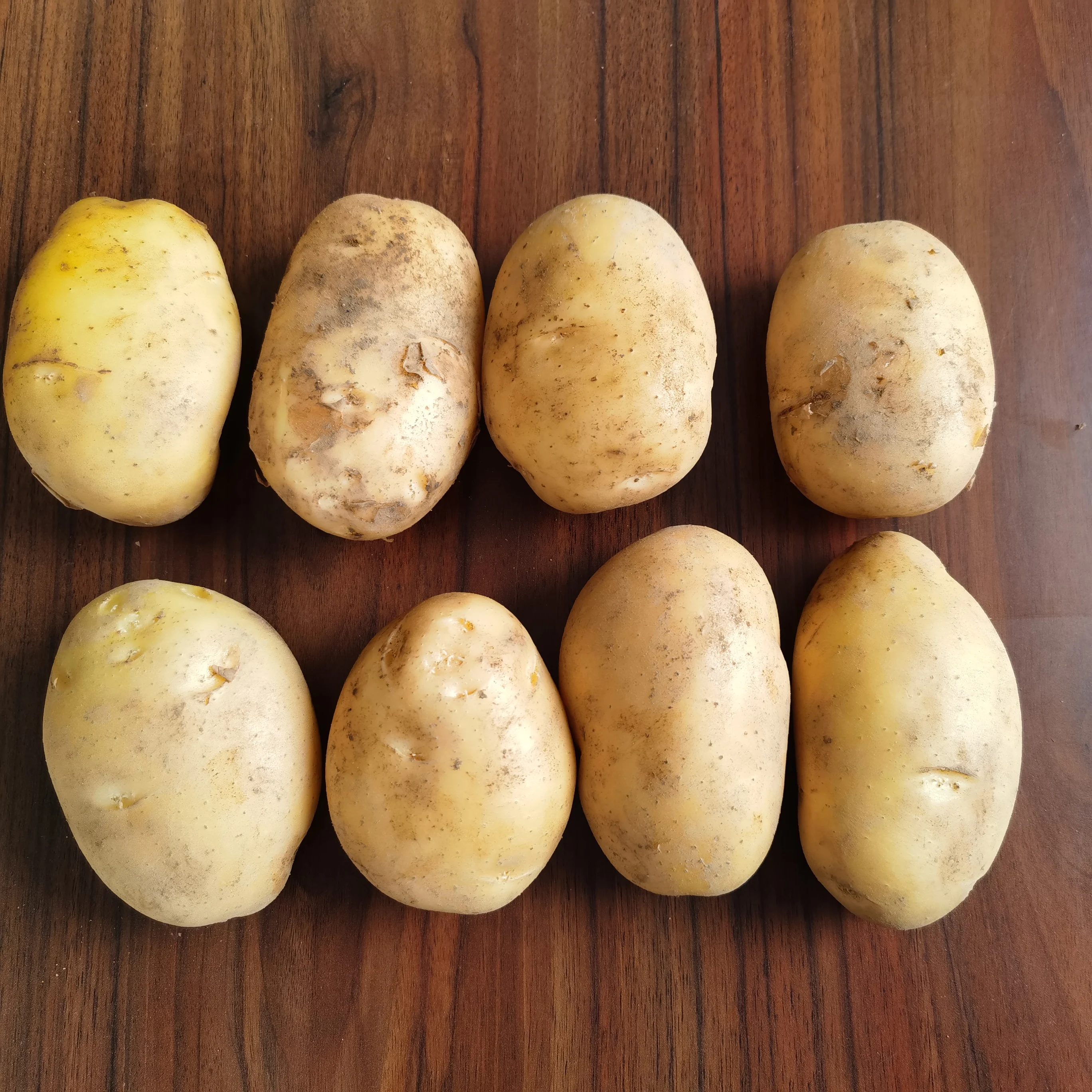 chinese  Mesh Bag Potatoes Fresh Potatoes Style Organic Weight Origin Type Shape Size Product Place Model  Round Maturity