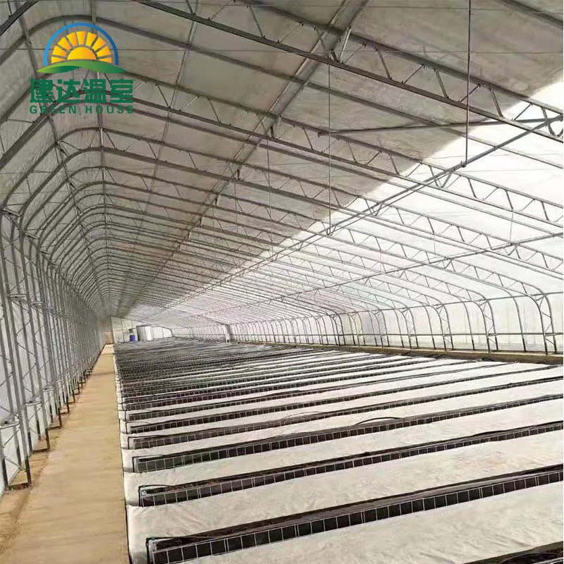 Special for cold areas warm greenhouse Agricultural quilt Greenhouses to planting strawberry  in winter