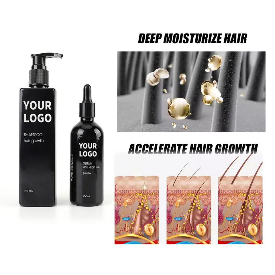 Hair Treatment Products Organic Best Natural Salon Hair Professional Ginger Shampoo for Hair Care