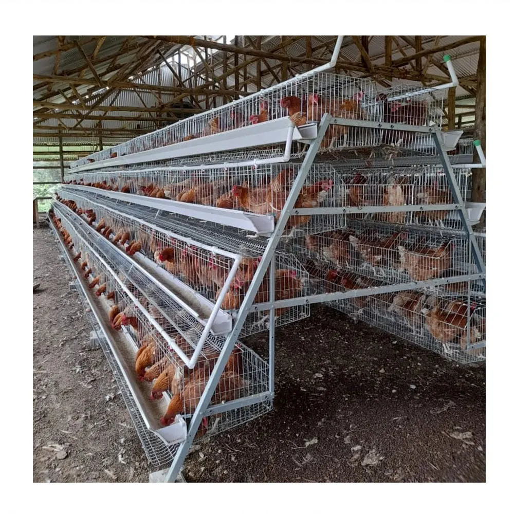 Silver star hot sale hot dip galvanized layer chicken brooder cage