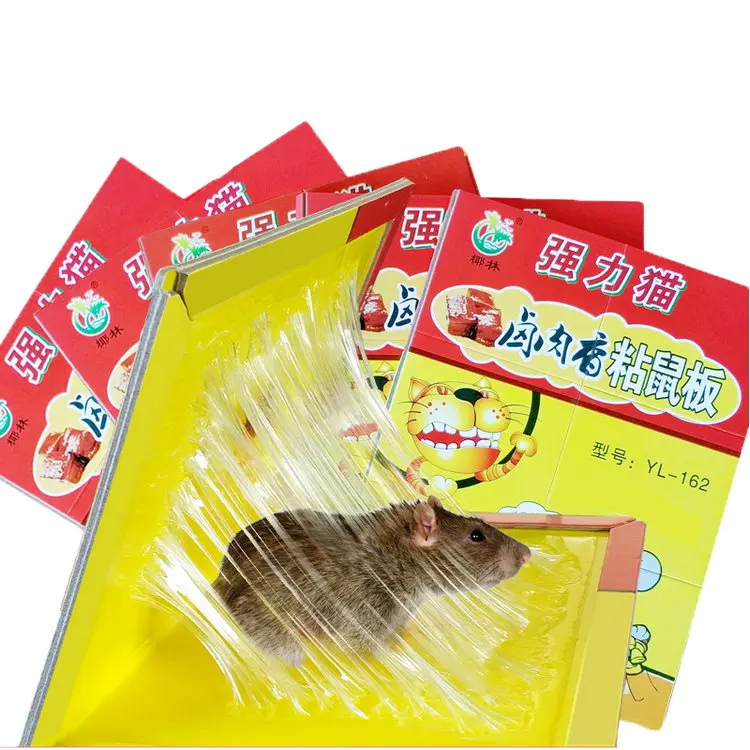 Best selling manufacture high quality super glue adhesive humane mice trap mouse glue trap catcher
