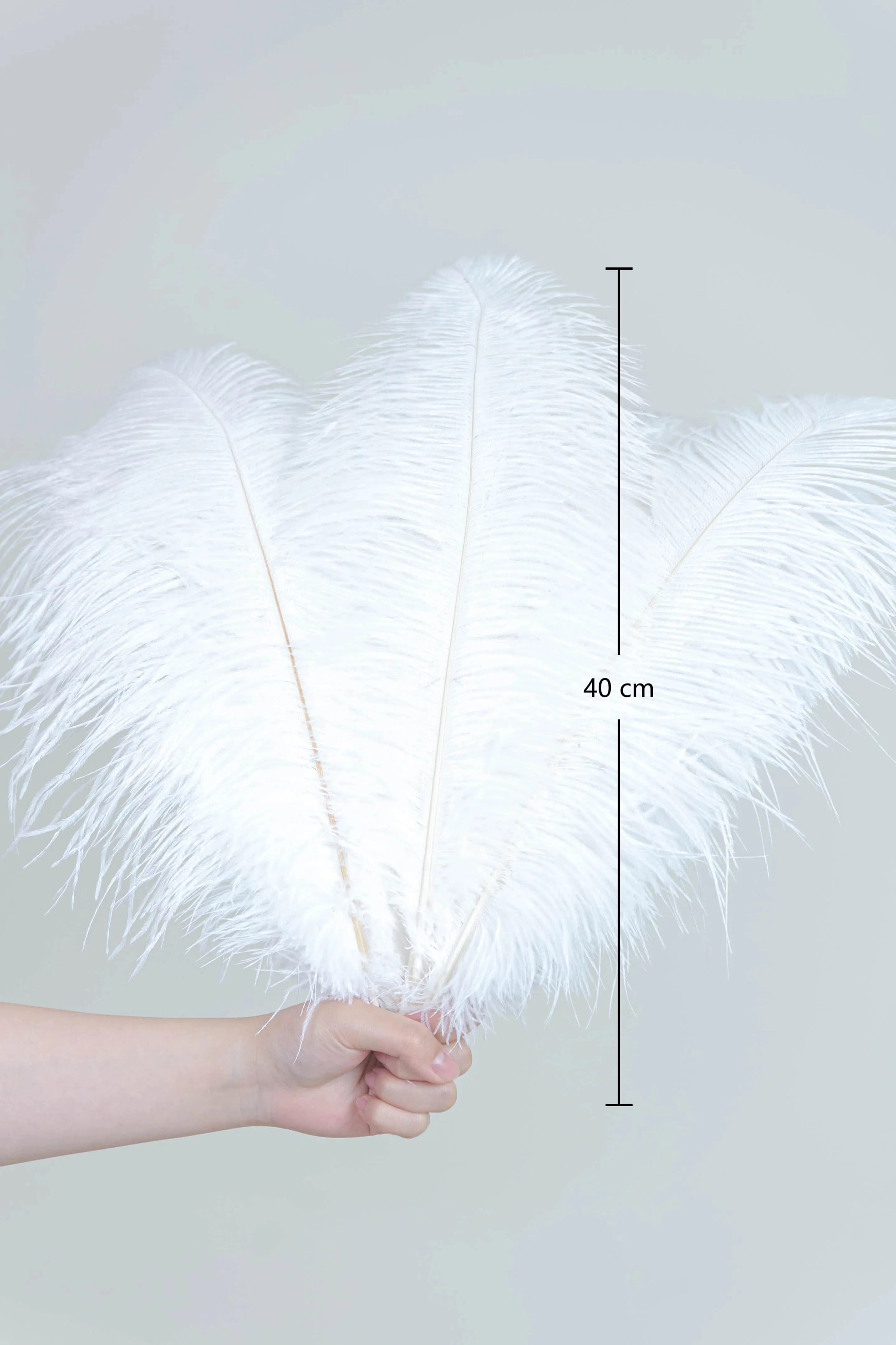 Wholesale Natural Ostrich Feathers for DIY & Decorations Gorgeous Hot-Selling Feathers  Christmas & Graduation