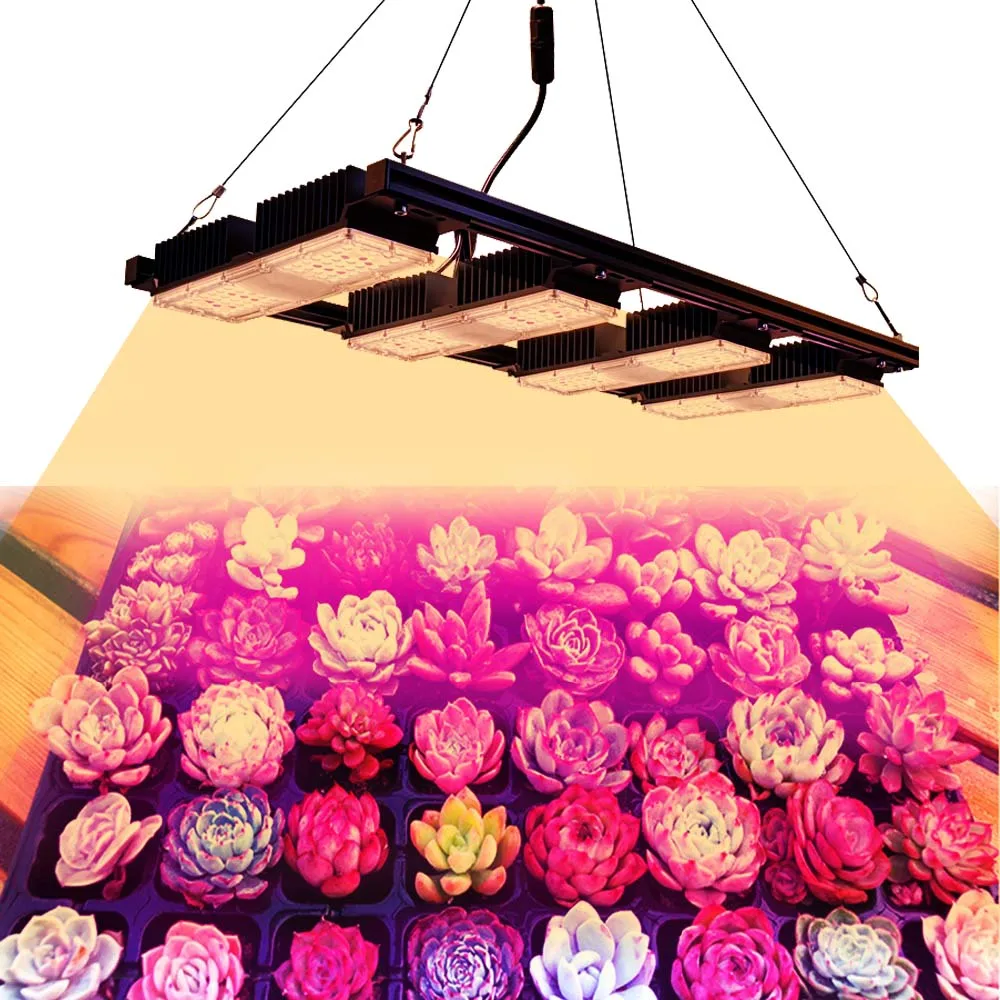 150w 200w 1000W CXB3590 3500K COB DIY cob Led hydroponic growing lighting for indoor Plants full spectrum with diy kit