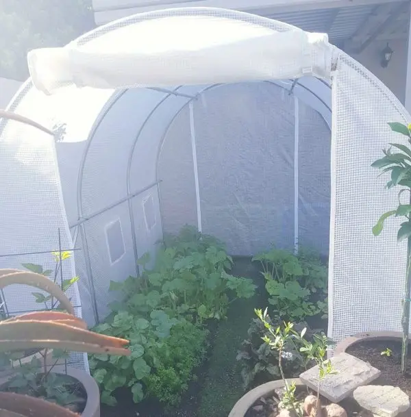 
Professional Garden Greenhouse Manufacturer Walkin Green House For Flower In Commercial 