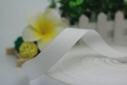 Good Quality mobilon tapeTest Polypropylene Webbing PP Webbing Strap for Bags Side Overlock