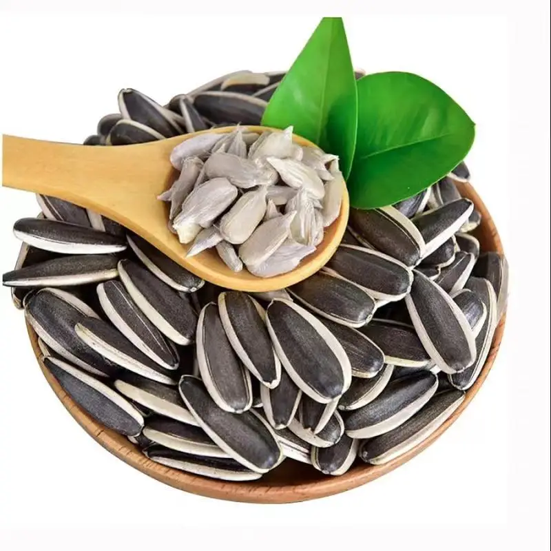 Cheap Sunflower seeds Chinese sunflower 363