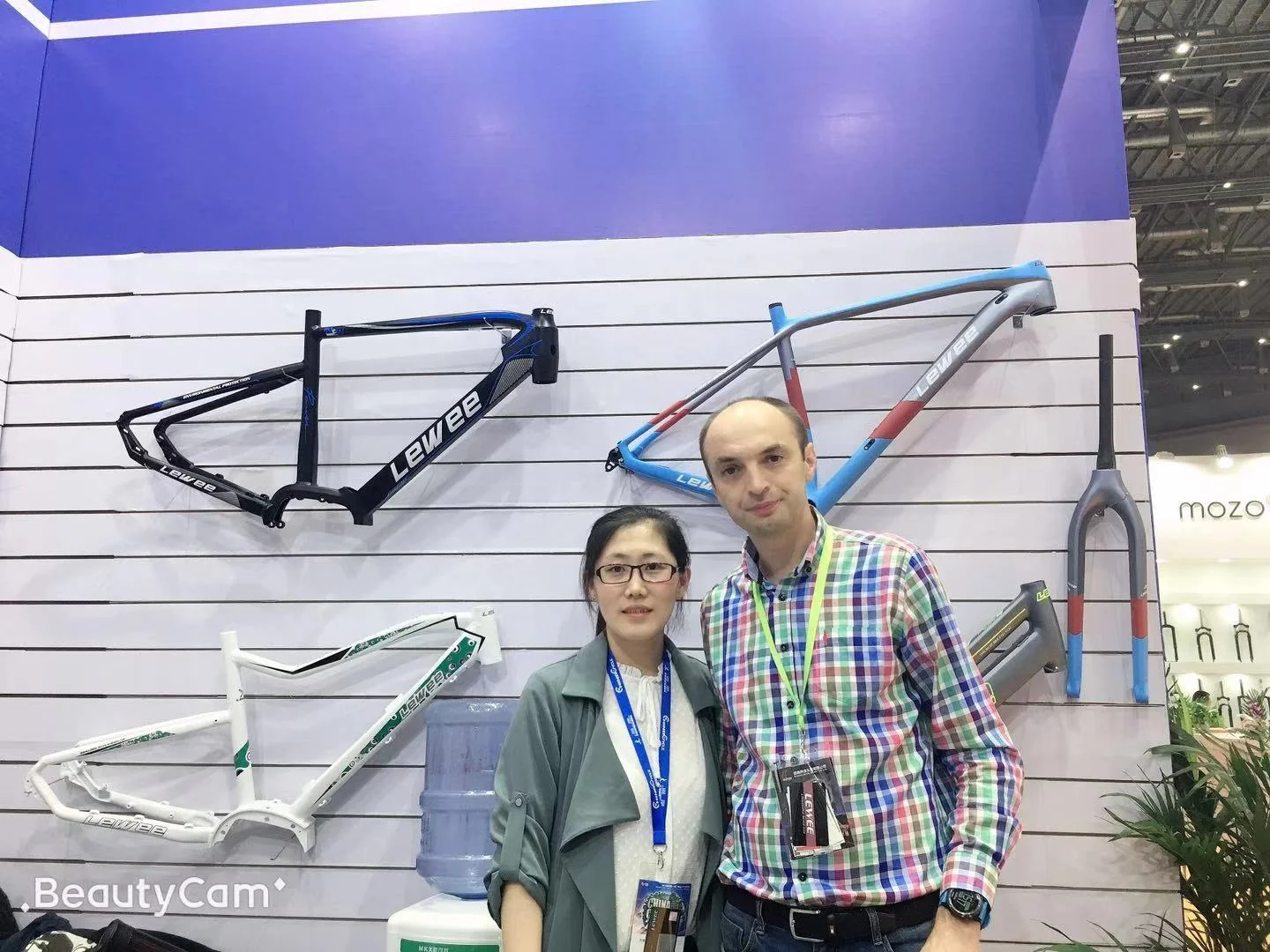 LEWEE Popular Design 29inch BMX Bike Disc Brake Steel Frame Adult Bicycle Free Style OEM Bicicleta BMX Cycle Bike