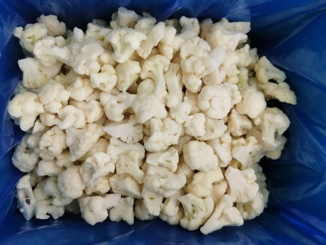 New Season Frozen Cauliflower IQF Frozen Cauliflower Cut
