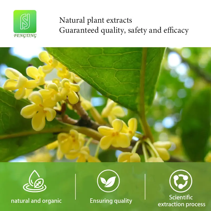 100% чистое натуральное Концентрированное эфирное масло долговечное Osmanthus ароматическое для ароматерапии диффузоры