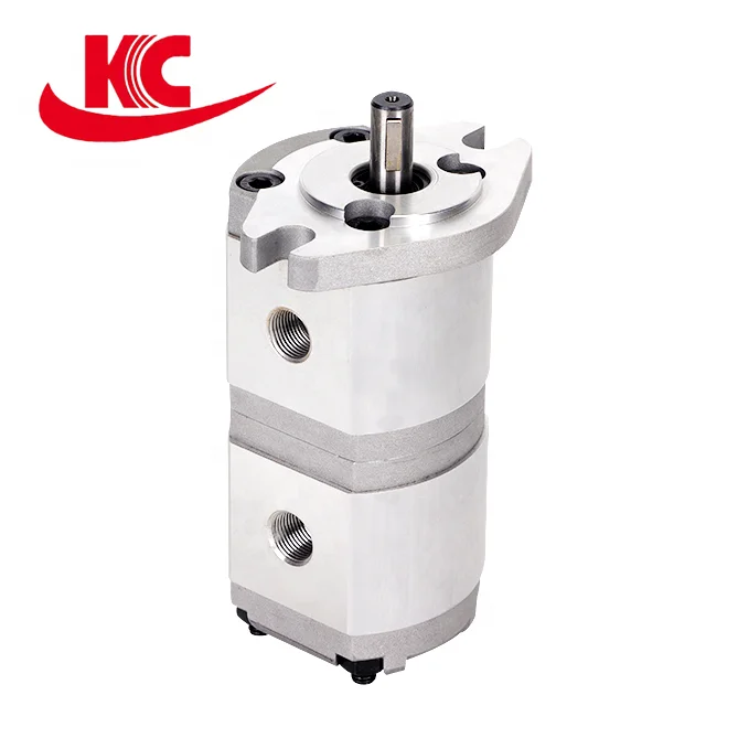 high quality  price is favorable HGP-11A double gear pump small miniature hydraulic gear pump oil pump