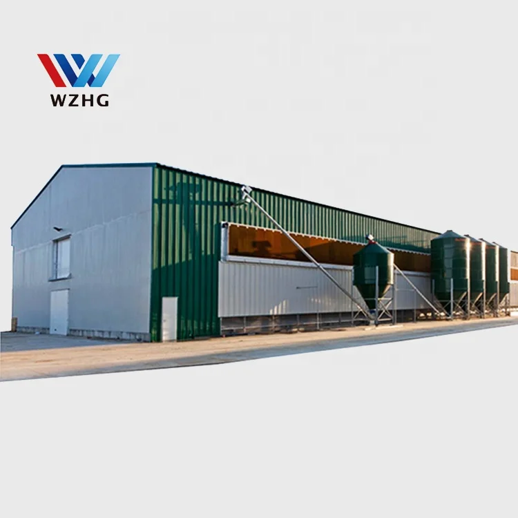 
Горячая Распродажа, Современная Коммерческая стальная конструкция, курятник, курятник 