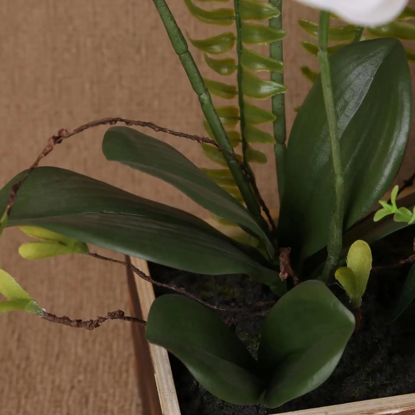 Well Designed 3D Printing artificial orchid latex real touch orchids flower