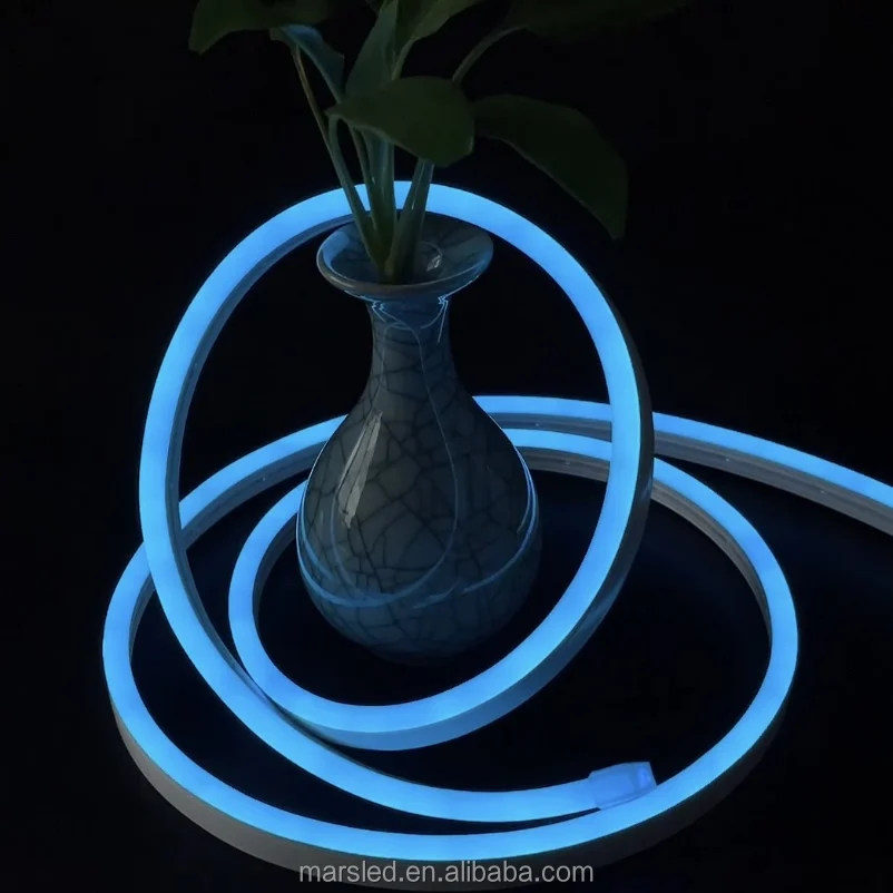 IP67 Waterproof 5V-24V Flexible LED Neon Lights 6-12mm Diodes for Home Decor for Walls Bars Bedrooms