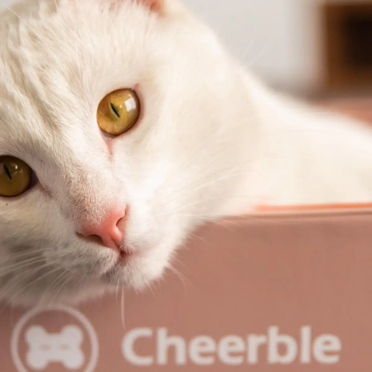 Набор для настольных игр Cheerble Интерактивная игрушка все-в-одном домашних животных кошек с когтеточкой и мини-мячиком удержания