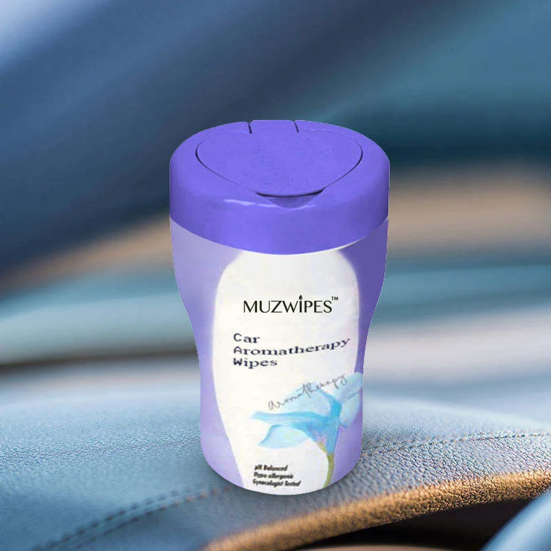 Wholesale Household 30Pcs Moist Car Interior Glass Cleaning Wet Wipes For Car Drink Holder