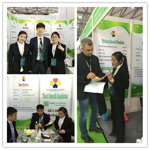 
Pesticides Insecticide Imidacloprid Technical 