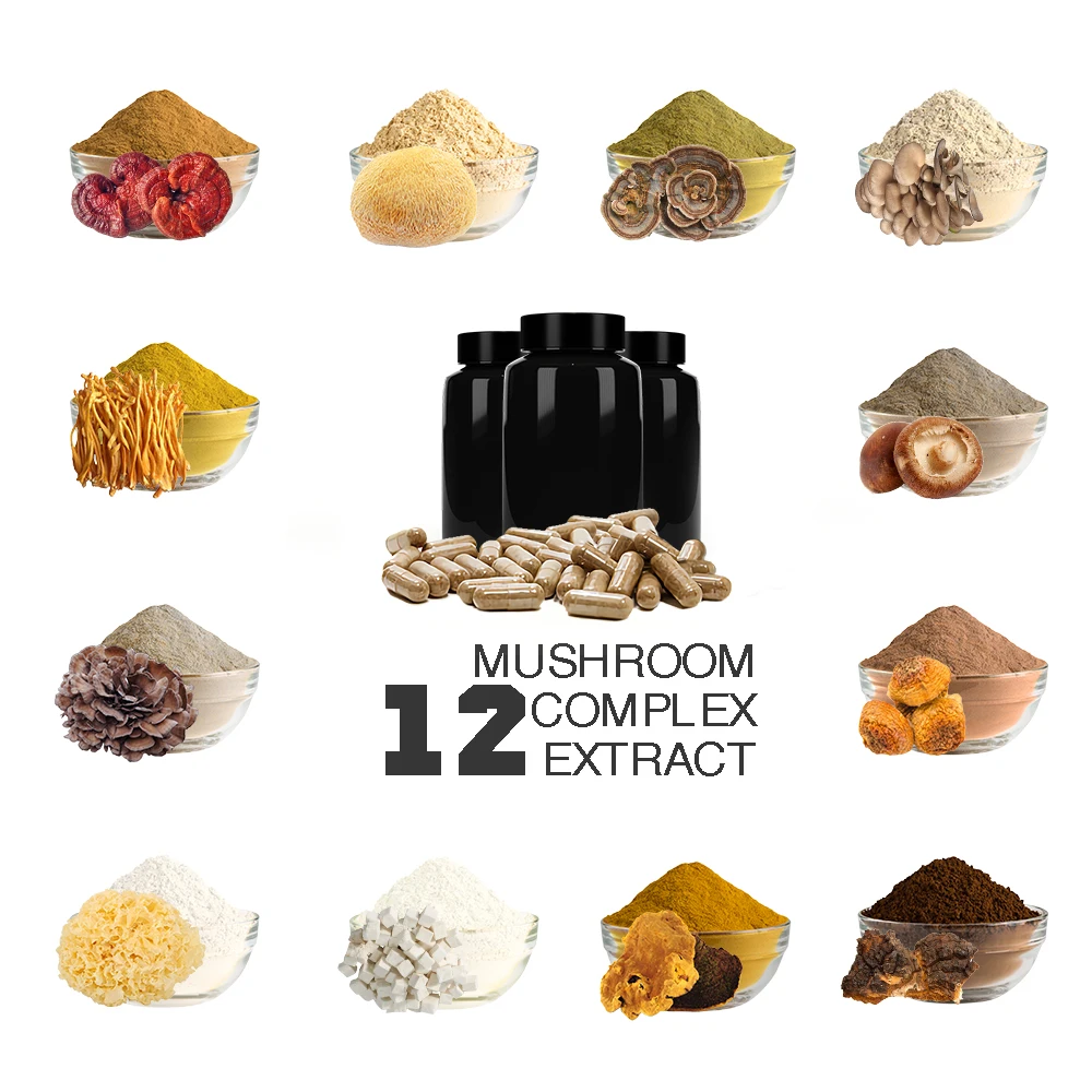 Wholesale Mushroom Supplement 12 in 1 Mushroom Blend Extract Powder with Lions Mane Reishi Corydceps Chaga or more 90 Capsules
