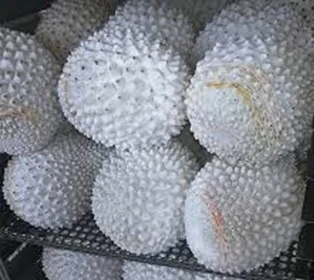 Лидер продаж Малайзия замороженные сухие дурианские фрукты Musang King Durian Pulp