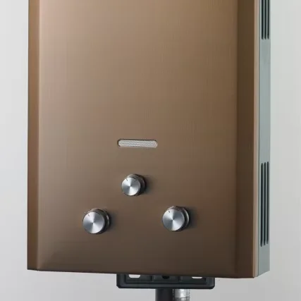 6L до 8L 10L 12L 14L 16L 20L Природный котел мгновенный газовый пропан без резервуара Lpg газовый газ + вода + нагреватели